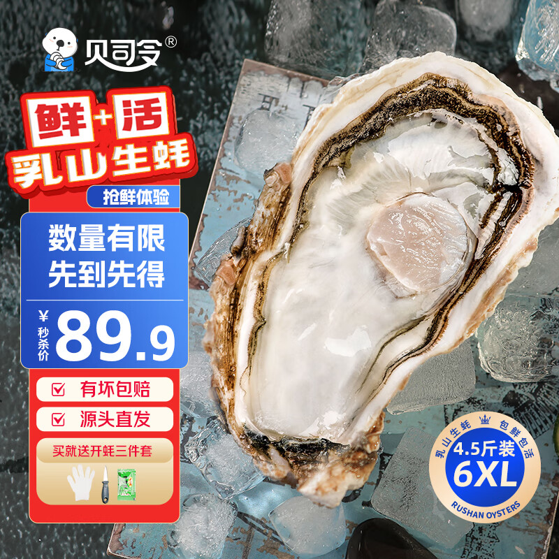 ��˾�Դͷֱ�����ʻ���ɽ���ĵ�ñ���ۻ��տ�6XL����4.5�� 6-8ֻ