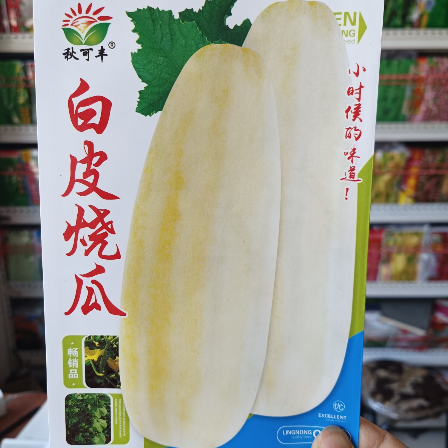 白皮烧瓜种子甜糯多汁易种植