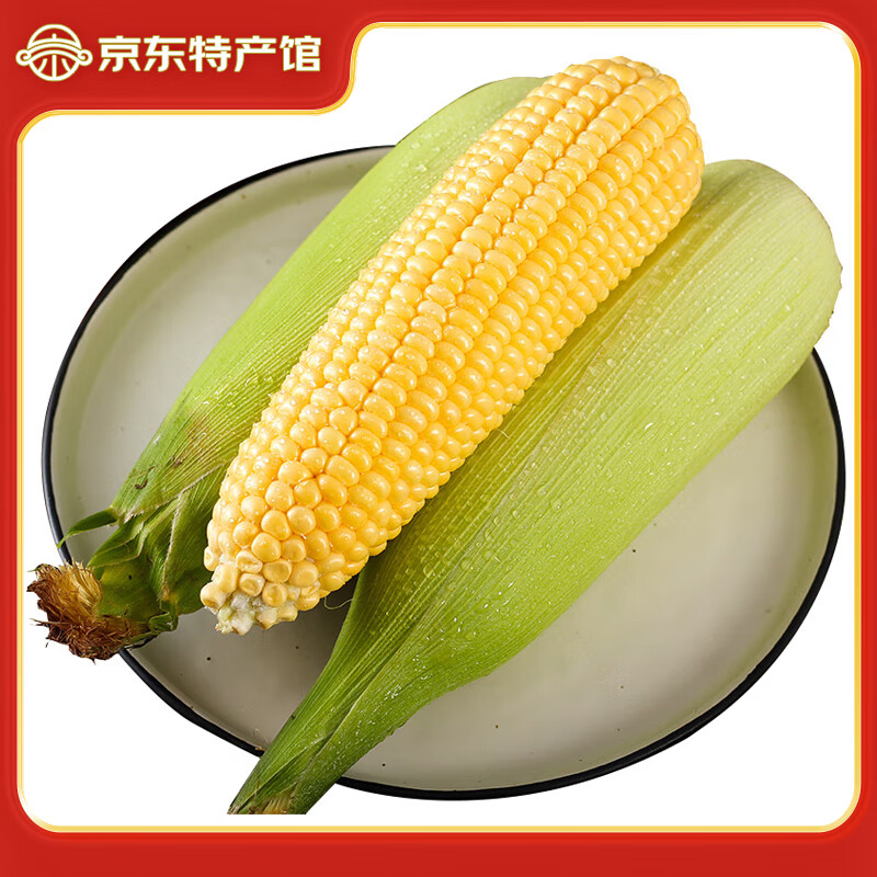 ������Դ�Ĵ�ˮ������ �������װ��� �����߲� 5��