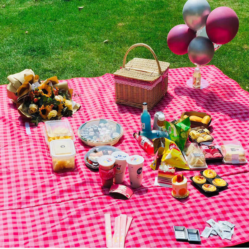 野餐垫防潮垫加厚春游垫子户外便携野外露营草地防水野餐垫 颜色随机【1.5*2.0米】单件装