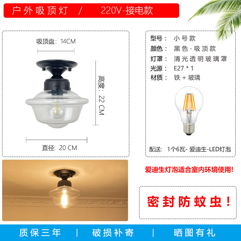 YWZR玻璃室外專用涼亭燈走廊雨棚臺(tái)燈戶外吸頂燈陽(yáng)光房庭院吊燈露陽(yáng)臺(tái) 小號(hào)-黑色-吸頂款-透明玻璃-配6W