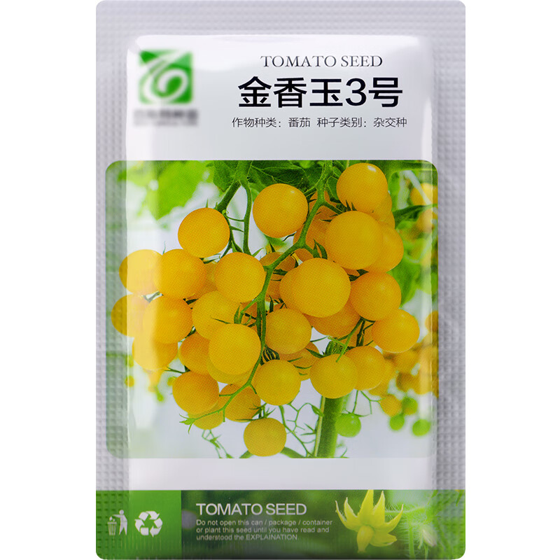 樱桃圣女果大西红柿矮生番茄种子孑籽苗