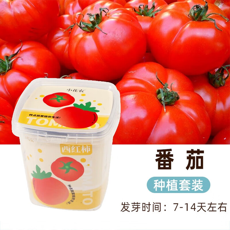 С��ũ��ͯ����ֲ��۲���ֲС����ʵ����װ����ڼ��׶�԰ѧ�� �ֵ��߲��ֵ㻨�����ѡ�