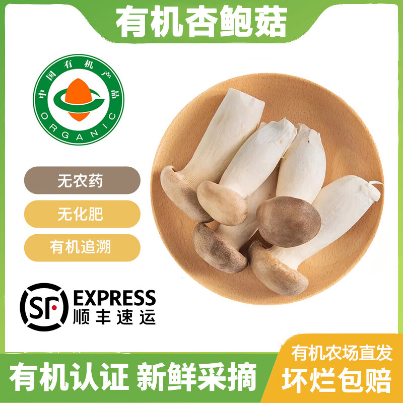 儲(chǔ)褚【有機(jī)杏鮑菇】 火鍋炒菜煲湯百搭食材菌菇蔬菜 新鮮現(xiàn)采雞腿菇 200g *3盒【有機(jī)杏鮑菇】
