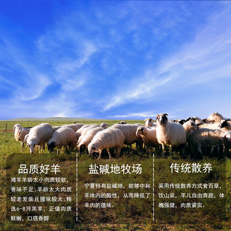 从前有只羊宁夏滩羊 生鲜羊肉半只分割羊腿羊排羊蝎子年货礼盒清真屠宰食材 手把肉2.5KG