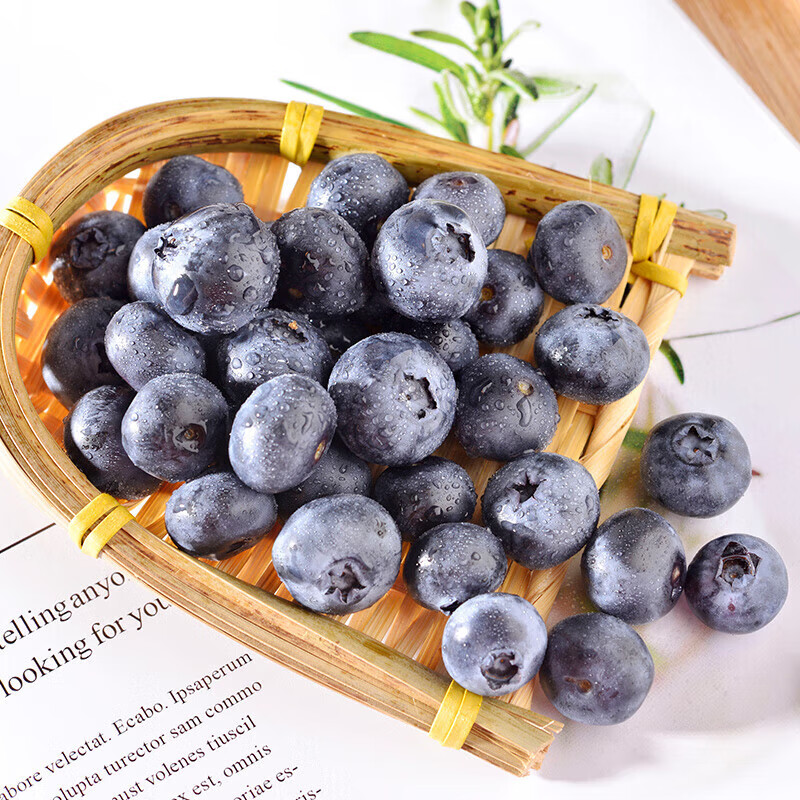 果益寿蓝莓 云南蓝莓 国产当季新鲜水果 时令生鲜 12盒装 单果12-15mm 100-125g/盒