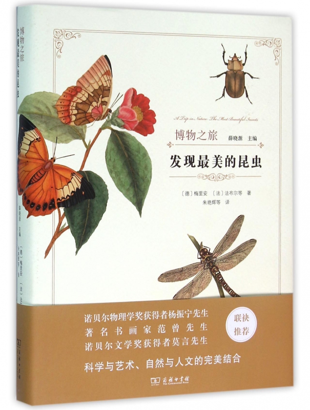 发现最美的昆虫(精)/博物之旅