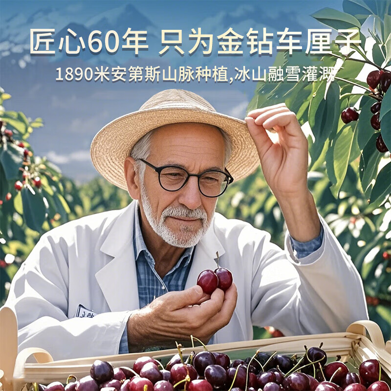 京营觅选智利进口车厘子【JD/顺丰-送货到家】当季新鲜年货春节送礼水果 3斤(净重) 高档礼盒带箱4斤 巨无霸3J 单果10-12g