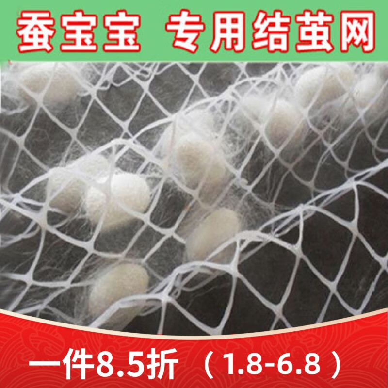 蚕宝宝结茧网 蚕上山蚕吐丝结茧用网结茧上簇养蚕宝宝结茧网 结茧网
