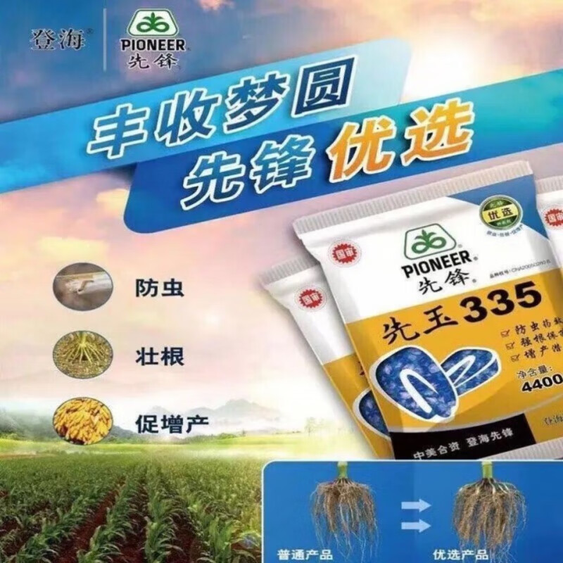 高产玉米种子大全国审先锋先玉335抗病抗旱产量高 先玉335实惠装4200