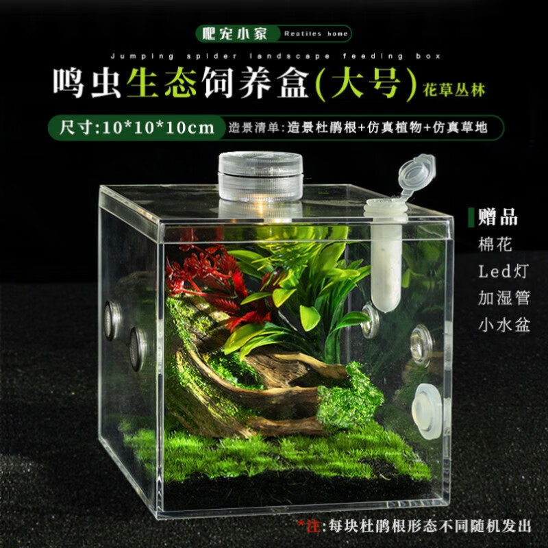 新款高透鸣虫生态盒蝈蝈盒油葫芦蛐蛐扎嘴跳蛛竹蛉螳螂昆虫盒 小号杜绝根饲养盒