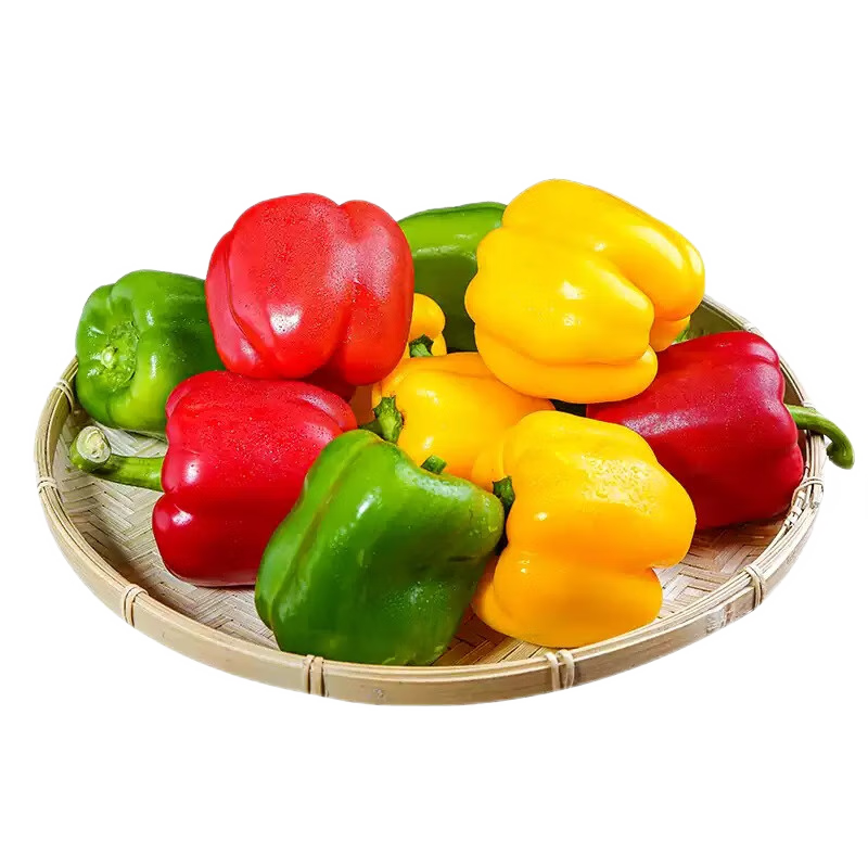 �������ڲ���:���� ɽ����ɫ��ʽ� ����5��װ ����100g+ Բ���� ũ��Դͷֱ��