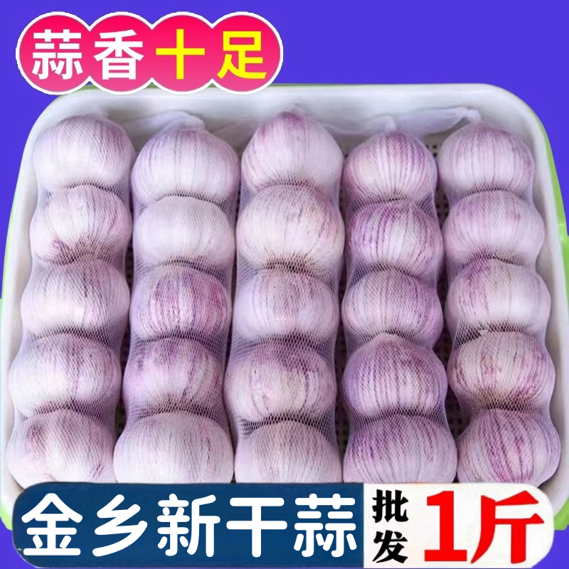 【大甩卖】精选山东新干蒜头紫皮大蒜新鲜批发特大头红皮蒜 新店冲量【先亏88888单】抢完即 新干蒜：整箱1斤30-40mm中果