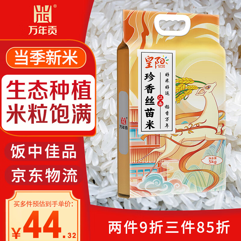 ���깱 ����˿���� 10��