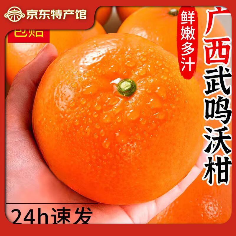 正宗广西武鸣沃柑新鲜水果当季整箱一级纯甜蜜桔柑橘砂糖橘子 9斤 (67-75mm )