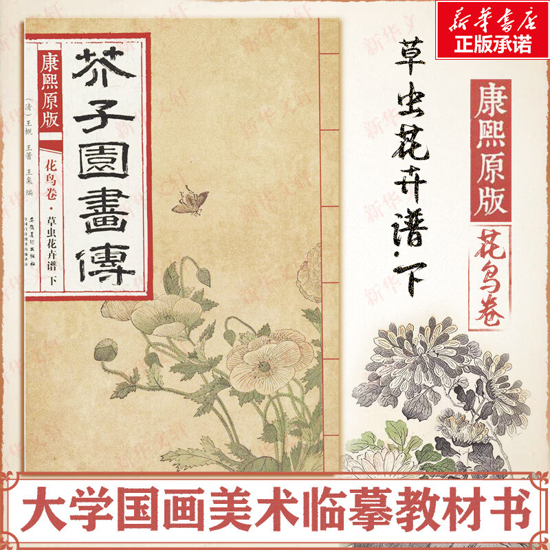 康熙原版芥子园画传 花鸟卷.草虫花卉谱.下 王概 大学国画美术临摹教材书 安徽美术出版社