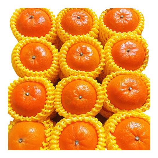 ޾ָJDشմﵱٻʵ۸ɳٽˮ ѡ3