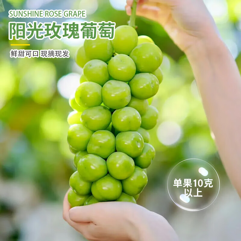 ��֦��������õ������ ���3����2�� ����2.5kg ����>12gˮ��