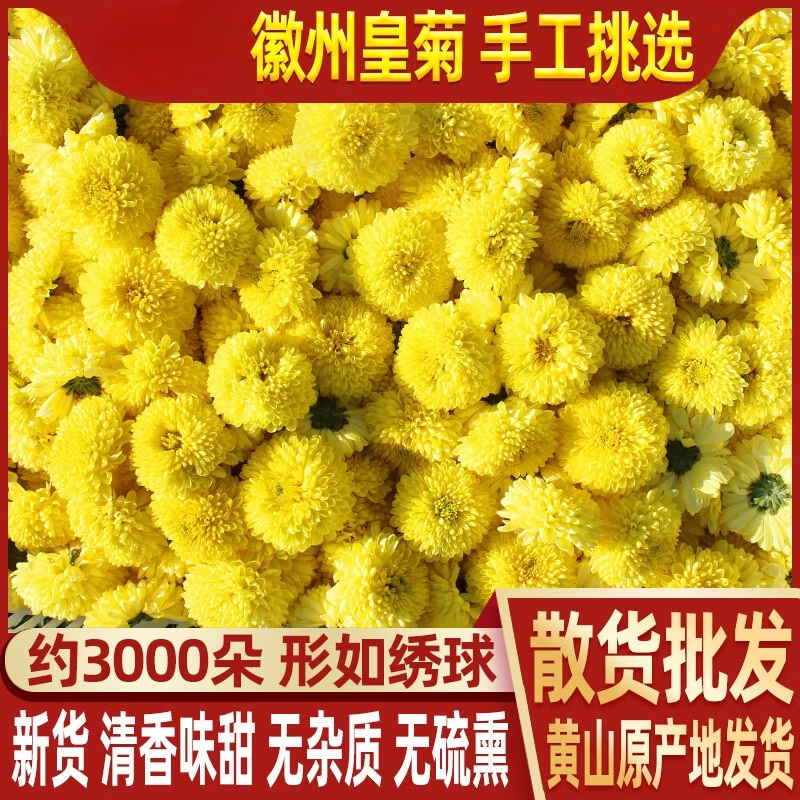 北京同仁堂菊花茶500g特黃山徽州皇菊散裝黃貢菊婺源皇菊級大黃菊花茶 原味(無添加)不熏硫 精選新花250克(清香濃郁)菊花