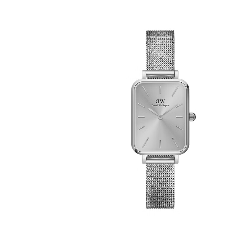 丹尼尔惠灵顿（DanielWellington）dw手表女 复古小方表石英女士手表欧美腕表 七夕情人节礼物送女友 月光银
