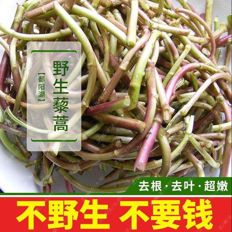 鄱陽湖野生藜蒿蘆蒿泥蒿現(xiàn)采現(xiàn)發(fā)新鮮野菜3斤南昌特產(chǎn)江西泥蒿藜 5斤裝順豐包郵
