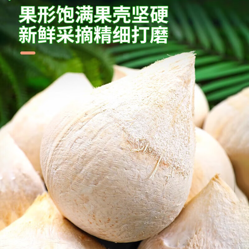 鲜友季海南牛奶椰皇椰白新鲜椰子椰汁水果孕妇补羊水水果配吸管 8枚中果（单果1斤-1.5斤）
