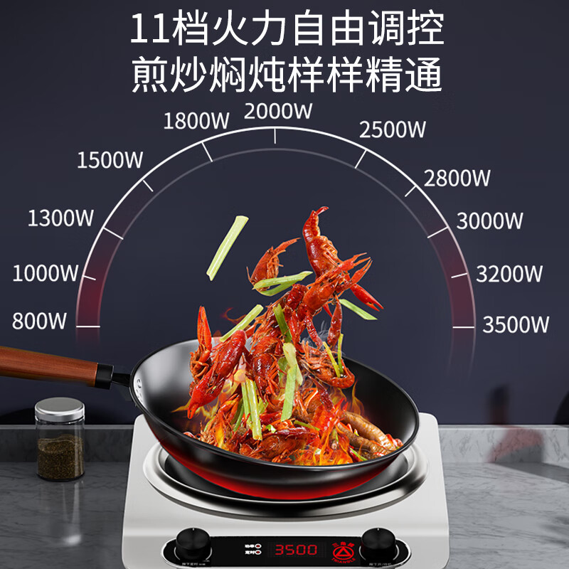 这10款多功能电磁炉排名前十品牌，爆炒炖煮样样行超实用-图片4