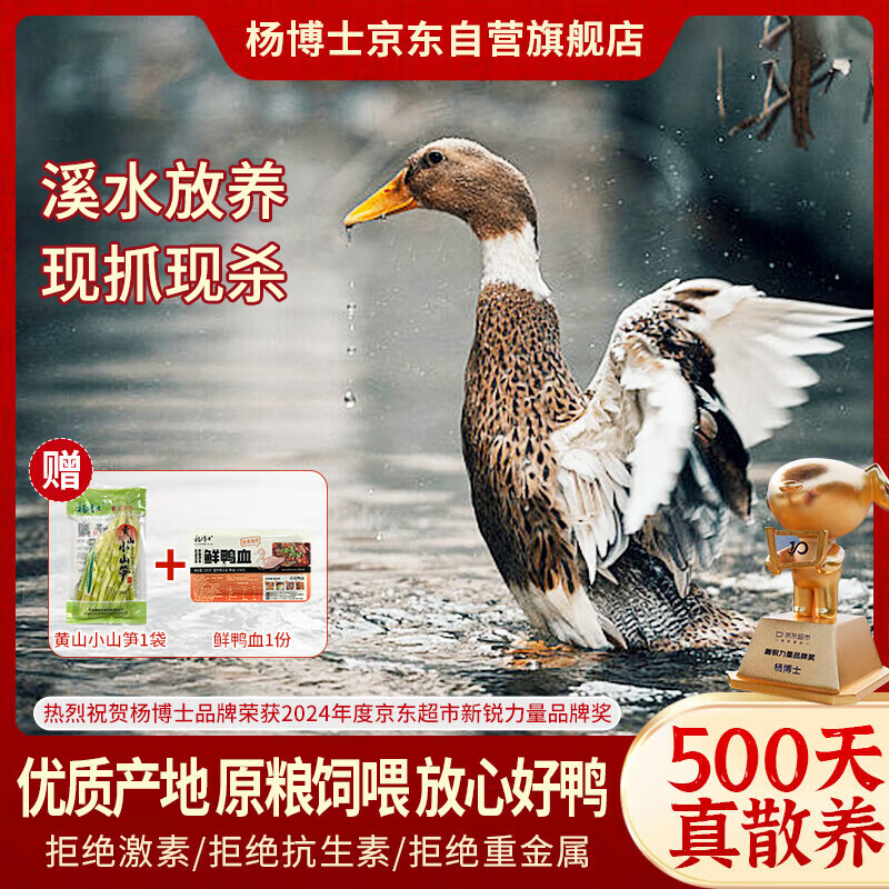 杨博士皖南散养溪水河鸭 净重2斤 老鸭子麻鸭土鸭鸭肉生鲜源头直发