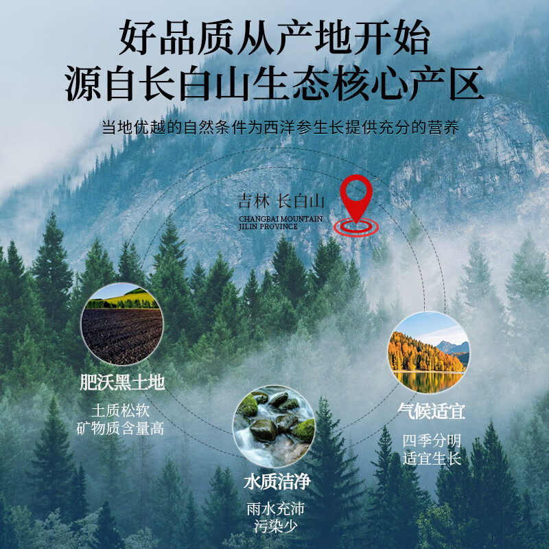 雷允上国产西洋参片含片泡水人参皂苷长辈礼盒人参皂苷 【罐装礼盒】 50g*2罐 (1.2-1.6cm)