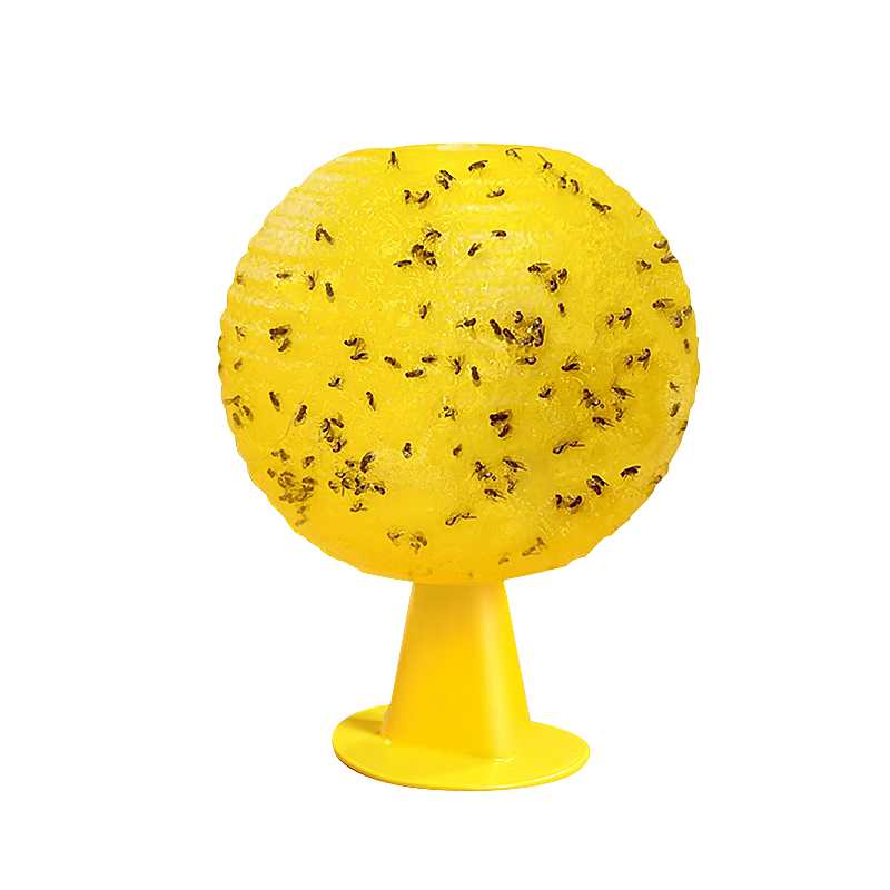 ��Ʒ�ݹ�Ӭ�ղ���5��ˮ�������ճ����С�ɳ�������Ӭ������ 25.9Ԫ