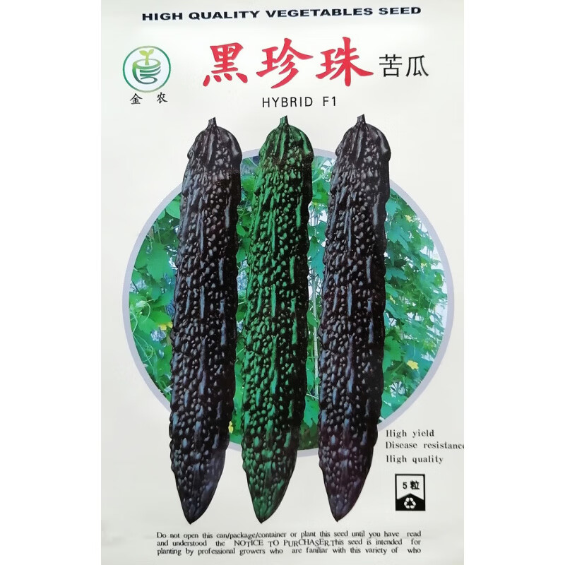 种花迷黑珍珠苦瓜种子疙瘩黑苦瓜种籽墨绿色大肉绿苦瓜特大高产 金农