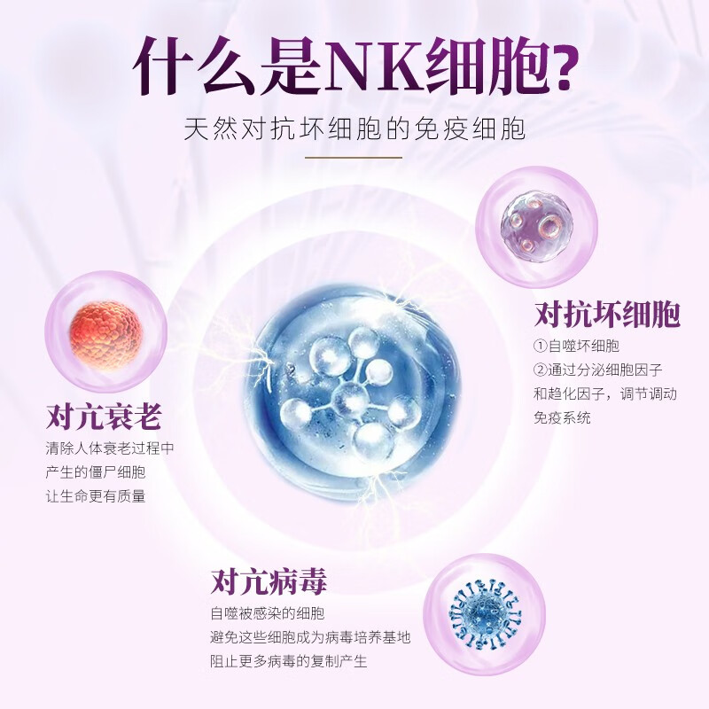 SUSUMOTOYA日本进口NK放化疗术后营养品冬虫夏草高丽田七人参增强免疫力60粒 【12瓶装送4同款】 60粒*12瓶 丨长效免疫