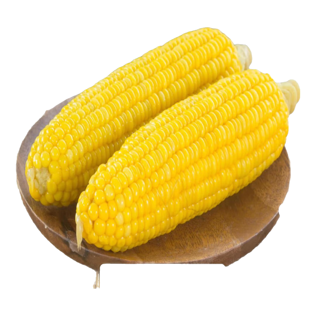 王老宝东北黄糯玉米  甜糯玉米棒 新鲜真空包装加热  即食黏玉米 东北黑糯玉米180-220克（段状） 10个