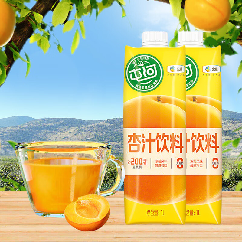 美意颂中粮屯河杏汁1000ml果汁果味饮料饮品送礼礼盒装 1L杏汁*2