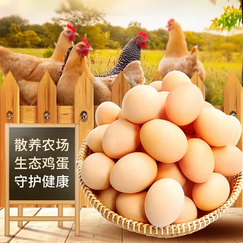 新鲜农家散养土鸡蛋鲜鸡蛋20枚工厂直发绿色无激素无抗生素礼盒装 生鲜鸡蛋20枚礼盒装