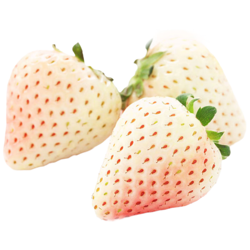 趣尝鲜淡雪草莓 净重250g 单果20g+ 源头直发 一件包邮