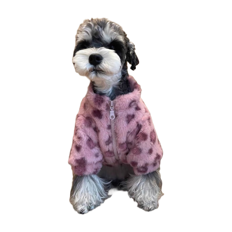 ﶬɰ·Ƥůè乷̩ ɫƤݣñ XL Լ11-15 17.9Ԫ