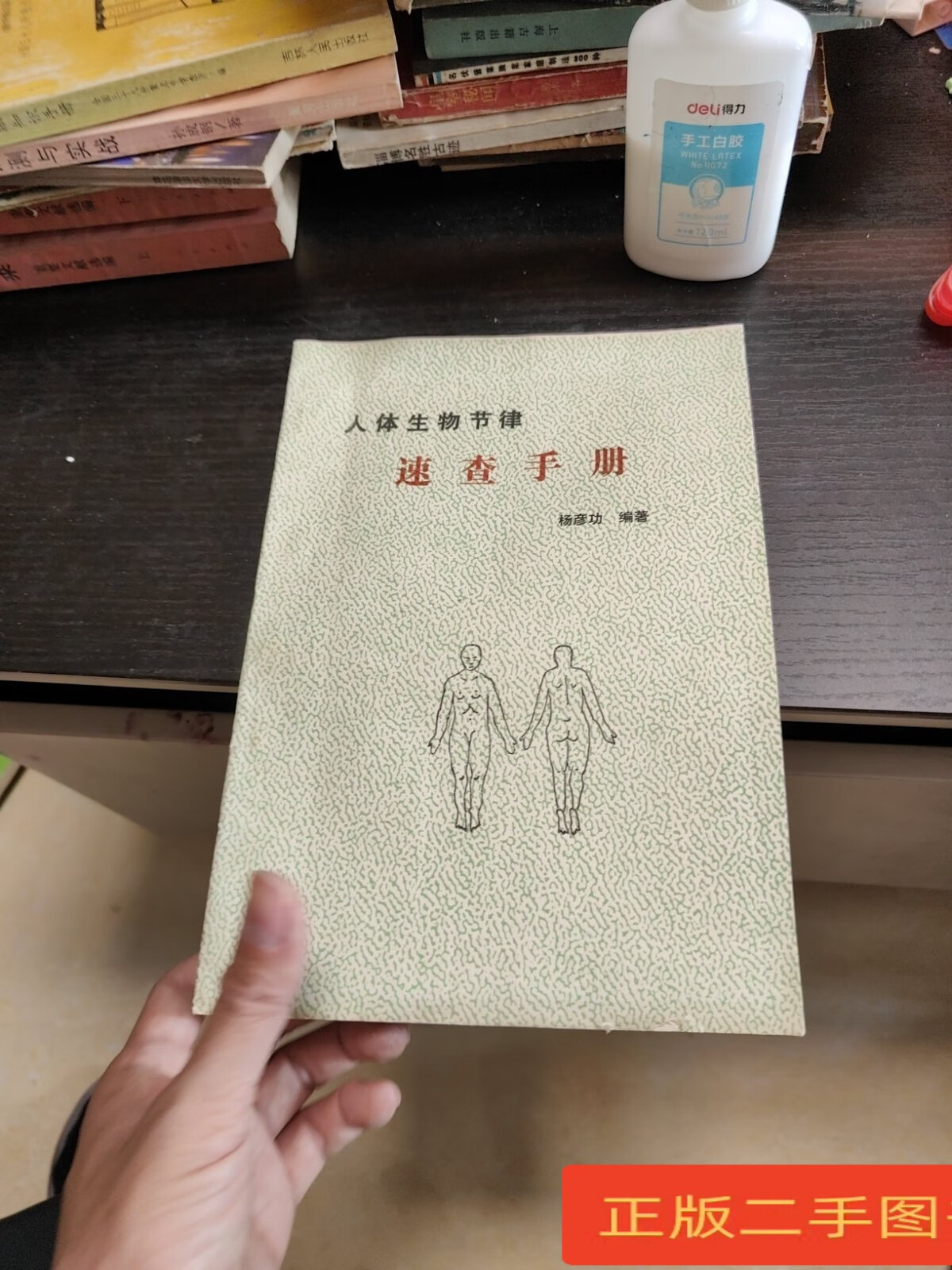 [二手9成新] 人体生物节律速查手册