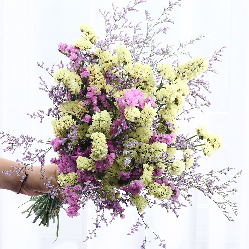 想查干花价位用什么查询|干花价格比较