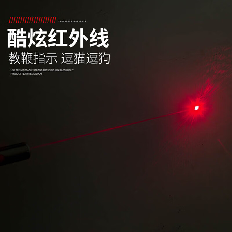 雷佰 红外线激光笔迷你USB充电逗狗猫棒售楼指示射笔二合一照明白光灯 红激光+白光【USB充电版】