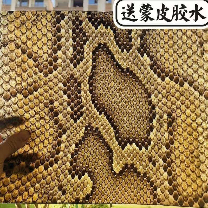 ZKHE三弦樂器皮熱瓦普蟒皮三弦蛇皮中胡蛇皮扎木念蛇皮墜琴蛇皮大胡皮 長16厘米寬16厘米-中厚(送膠水)