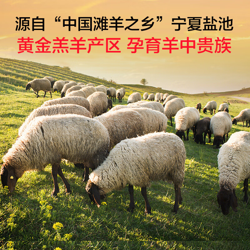 1号会员店宁夏盐池滩羊 甄选羊肉礼盒2.84kg 180天乳羔羊 羊肉生鲜