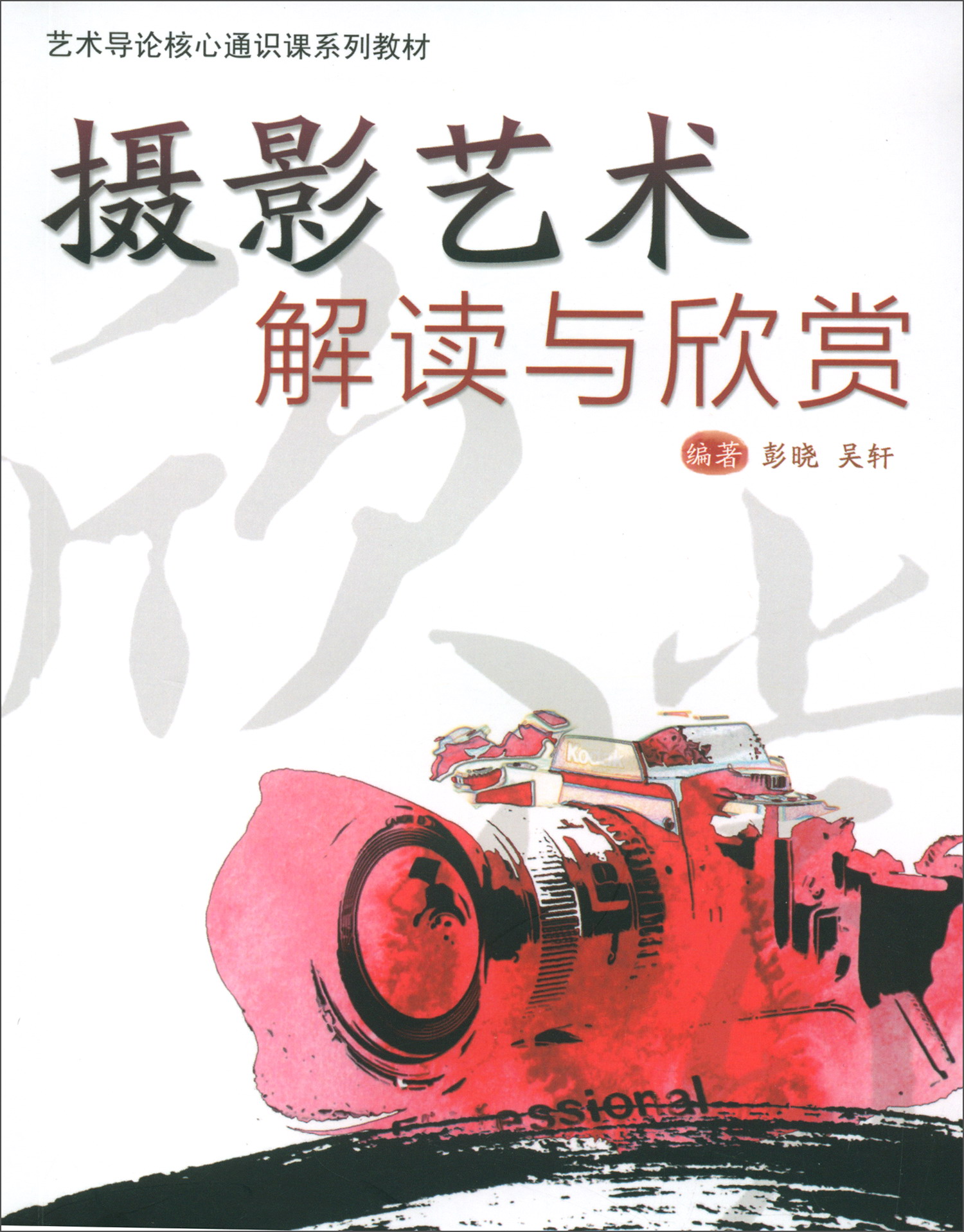 摄影艺术解读与欣赏