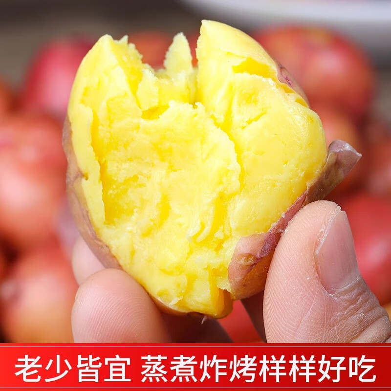 北森南屿云南新鲜红皮土豆红皮黄心马铃薯乡村洋芋高原现挖蔬菜 9斤小果