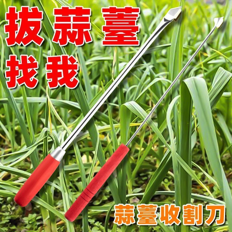 ��Ȼ ����̦����̦�������ٰ�����޷��ժ��̦�ո ��������-��޷��5��