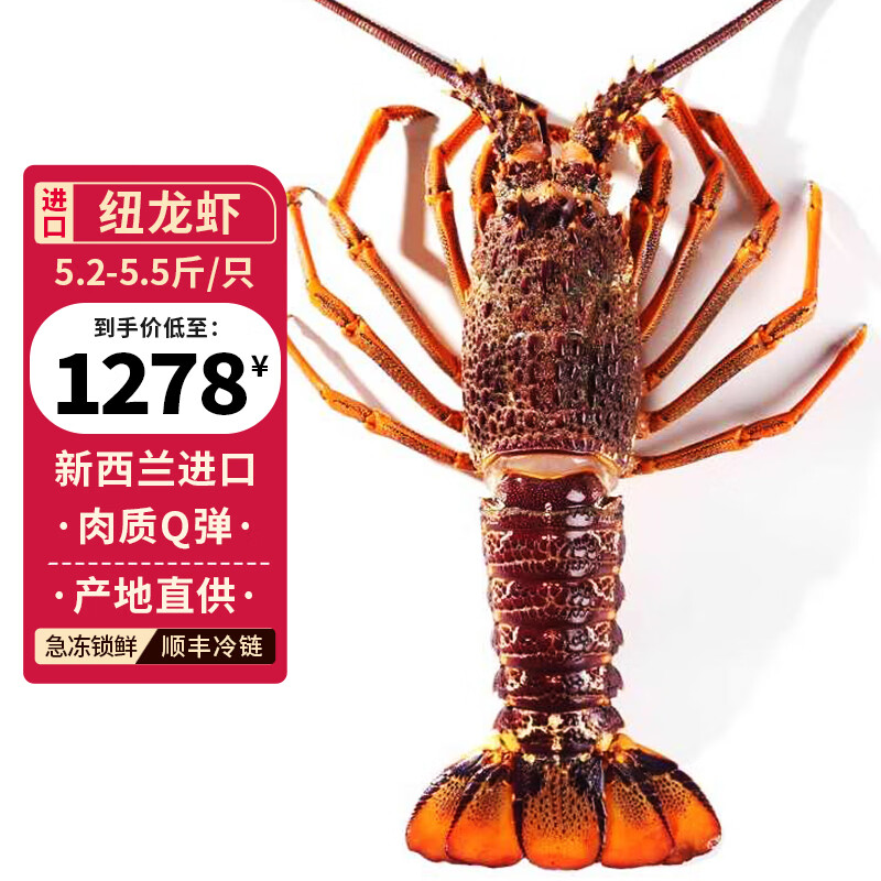鱘好物 澳龍澳洲進(jìn)口大龍蝦生鮮海鮮水產(chǎn) 5.2-5.5斤/只 大龍蝦