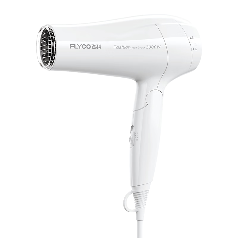 plis޵ɿƣFLYCO紵÷ȴ2000Wٸɺ±Я۵ ɫ