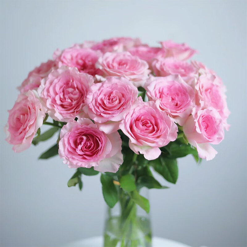 �����ʻ�õ�廨�ʻ������ɫƷ��10֦��Ů��Ů������ϻ���ֱ��