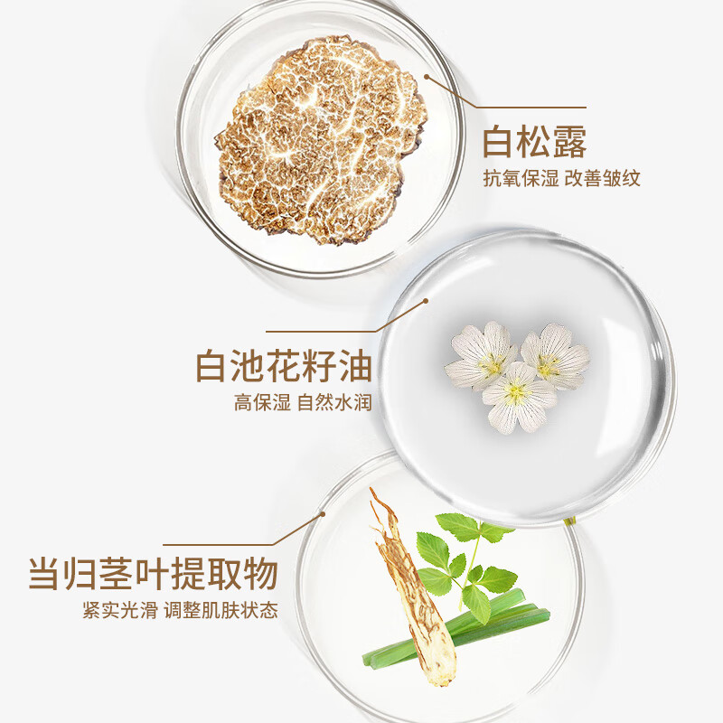 AKF粉底液35g光感盈润遮瑕控油持妆防水不易脱妆卡粉混干皮生日礼物 粉底液35g#02自然色