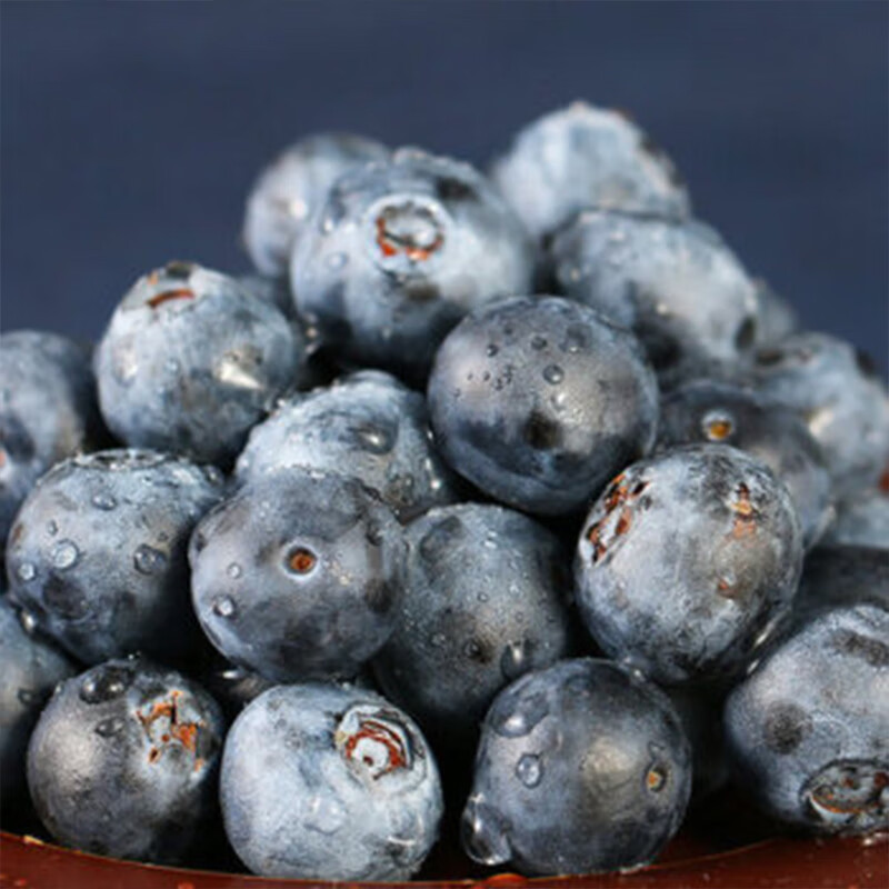 智宙云南花香蓝莓【多地次日达】国产水果新中梅生鲜果送礼品物盒 尝鲜中小果 4盒（100-125g/盒）丨单果12-15mm+